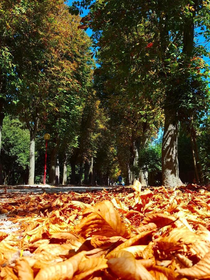 Il Gabbiano Giallo Фано Экстерьер фото